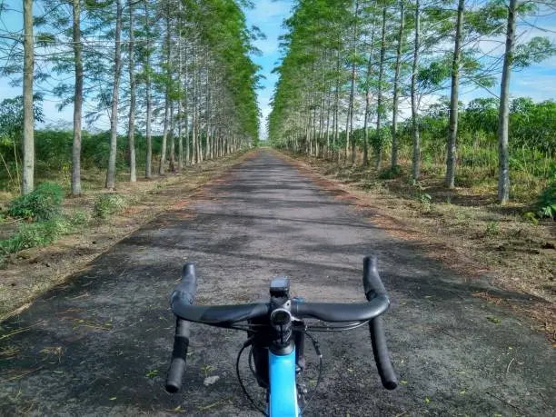 Cycling a roadbike to a place with lots of trees on the side of the road