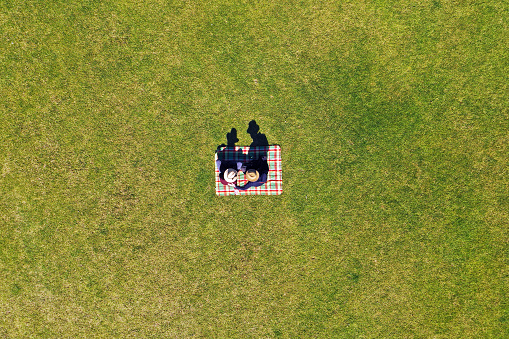 Aerial view of couple sitting on a picnic mat in a green grass field.