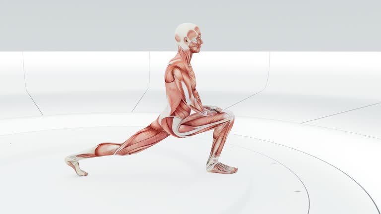 Hip Flexor Stretch