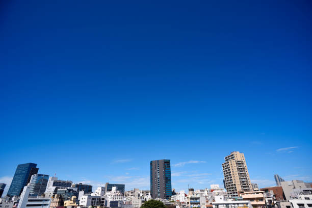 Tokyo in clear weather with copy space.
