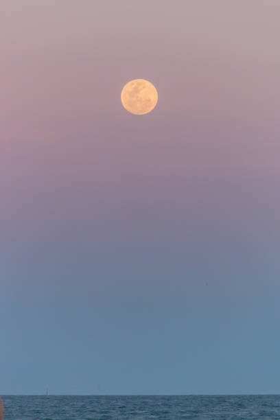 istock moonrise at Copacabana Beach in Rio de Janeiro. 1335151025