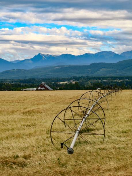 istock Farm and Mountains in Olympic Peninsula 1335155396