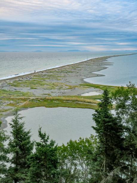 istock Longest Spit in the US 1335155419