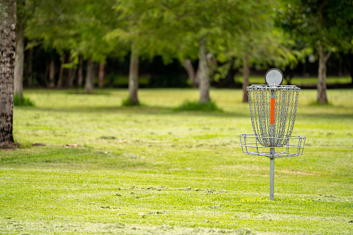 Photo of a disk golf basket goal net