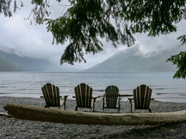 istock Take a Seat and Enjoy Nature 1335157968