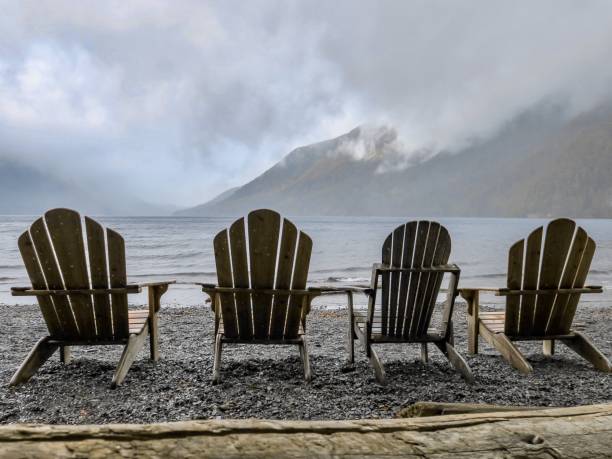 istock Take a Seat and Enjoy Nature 1335157971