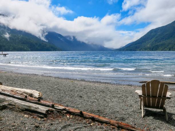istock Driftwood at Majestic Lake Crescent 1335158008