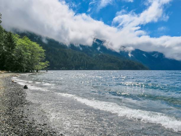 istock The Beach at Majestic Lake Crescent 1335158018