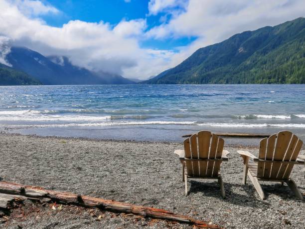 istock Take a Seat and Enjoy Nature 1335158061
