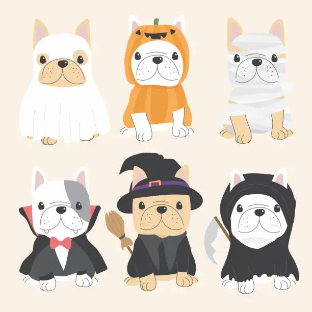 Vector illustration of cute french bulldog dog in Halloween costume flat style collection eps10 vectors illustration