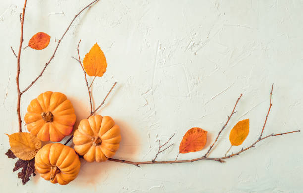 istock Halloween grunge white holiday background 1335162238