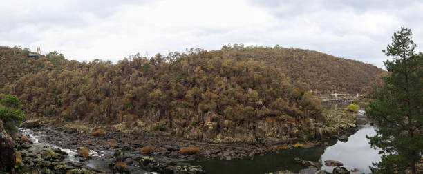 panoramic view of cliffs and native tree park area at Cataract gorge national park, Launceston, Tasmania, Australia panoramic view of cliffs and native tree park area at Cataract gorge national park, Launceston, Tasmania, Australia launceston tasmania stock pictures, royalty-free photos & images