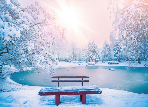 Bench in the city snow-covered winter park with a lake and beautiful trees in frost in morning. Beautiful natural park in blue and pink colors.