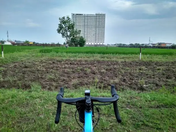 Cycling in the garden with skyscrapers in the background