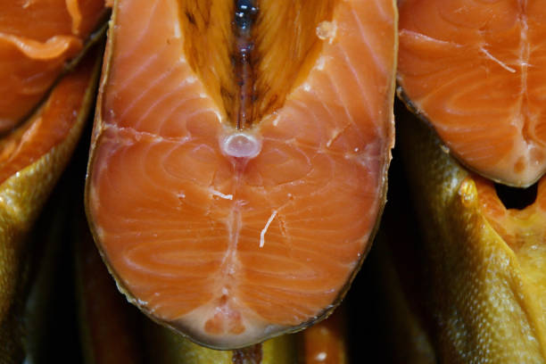 Cold smoked wild Pacific coho salmon (Latin: Oncorhynchus kisutch), an anadromous species of fish in the salmon family Salmoidae