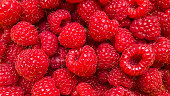 Texture background from a large number of raspberries
