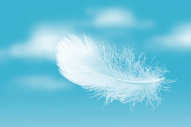 istock Lightly White Feather Floating in A Blue Sky with Clouds. Abstract Feather Flying in Heavenly Concept. 1335172048