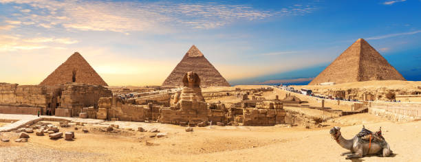 piramidi di giza e panorama della sfinge con un cammello che giace, il cairo, egitto - egypt camel pyramid shape pyramid foto e immagini stock