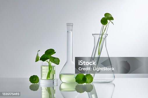 istock Skincare products and drugs chemical researches concept of centella asiatica 1335175493