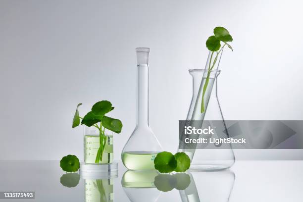 Skincare Products And Drugs Chemical Researches Concept Of Centella Asiatica Stock Photo - Download Image Now