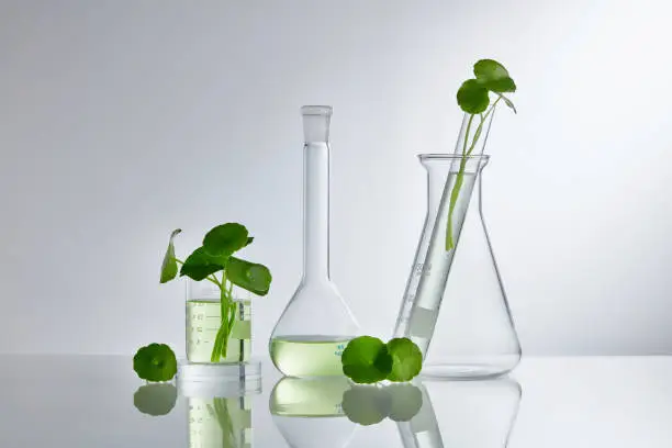 Photo of Skincare products and drugs chemical researches concept of centella asiatica