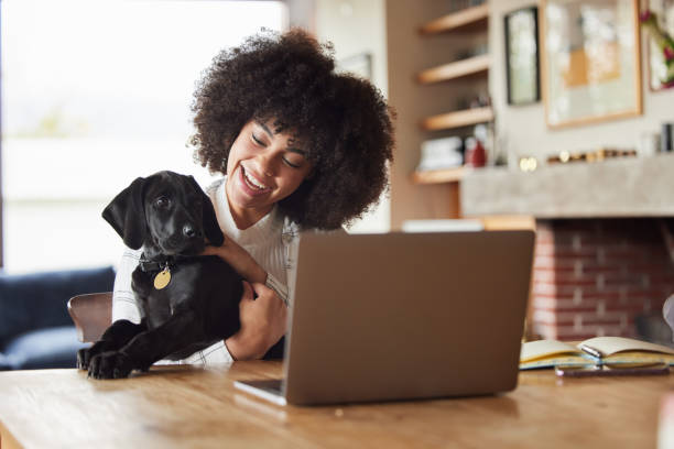 Shot of a young woman playing with her dog at home Dogs are our link to paradise pet owner stock pictures, royalty-free photos & images