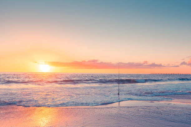 Surf fishing rod on sandy beach at sunset, South Australia