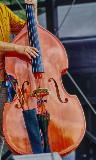 istock Hand of man plucks strings of cello 1335179816