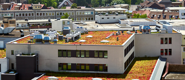 Aerial view of a flat roof planted with dry grass and moss in downtown Braunschweig, Germany.