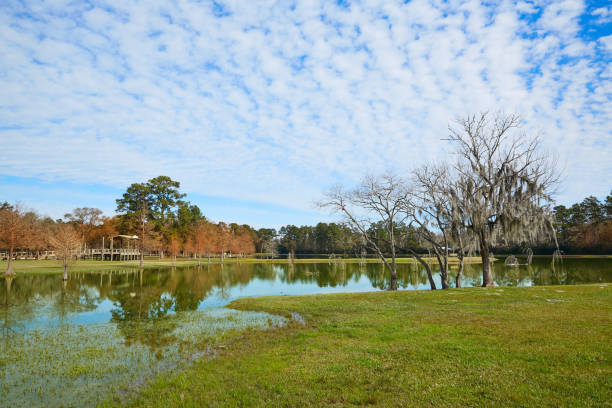 istock Tomball Burroughs park in Houston Texas 1335183108