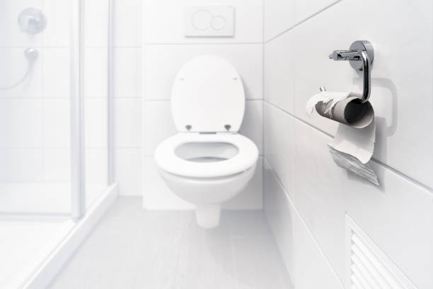 istock Last piece of paper on a roll in a white bathroom 1335184579