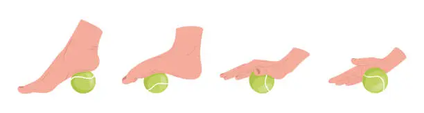 Vector illustration of Set of myofascial release exercises for hands and  feet. Rehabilitation workout on tennis ball.