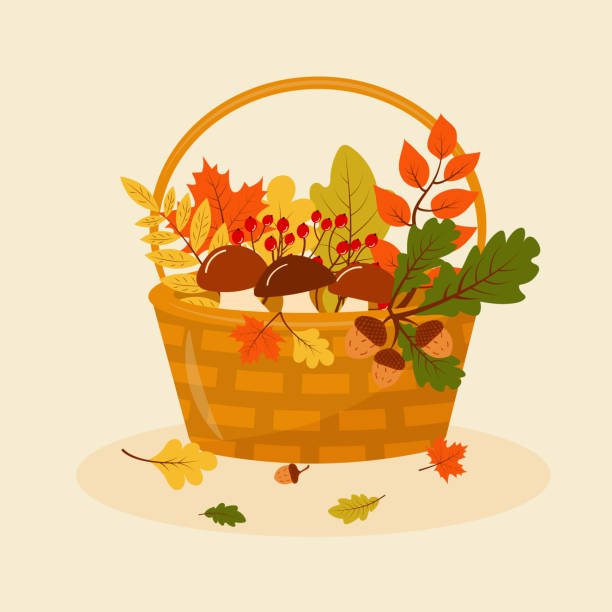 ilustraciones, imágenes clip art, dibujos animados e iconos de stock de cesta de otoño con setas, hojas, rowan y bellotas. - wicker basket store gift shop