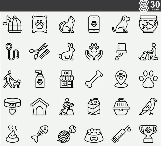 Pet , Animal , Veterinary , Pet Care  Line Icons Pet , Animal , Veterinary , Pet Care  Line Icons chameleon icon stock illustrations