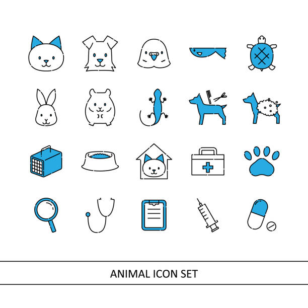 illustrations, cliparts, dessins animés et icônes de jeu d’icônes d’illustration animale (fond blanc, vecteur, découpé) - hamster cage birdcage isolated