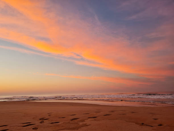 istock Sea and beach at sunrise 1335193457