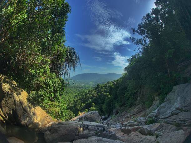 forestview koh phangan - waterfall thailand tropical rainforest tropical climate fotografías e imágenes de stock