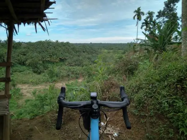 Beautiful landscape forest view behind the handlebar