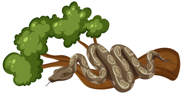 Snake Ina Tree Drawing 6,400+ Snake Around Tree Stock Illustrations, Royalty-Free Vector ...