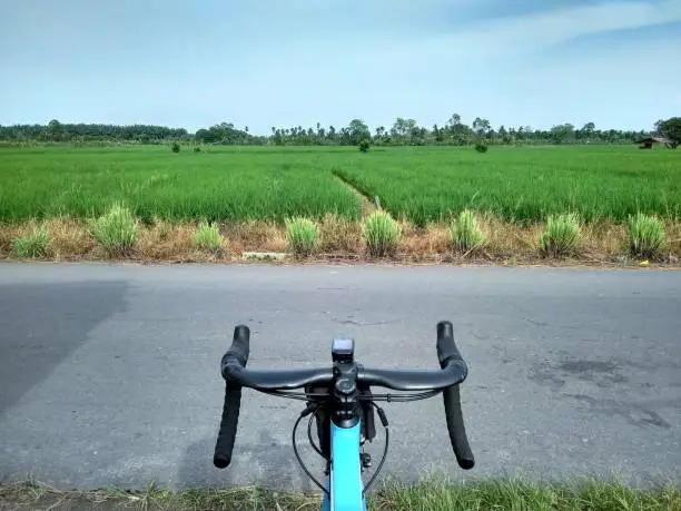 Beautiful farm village in Indonesia behind the handlebar view