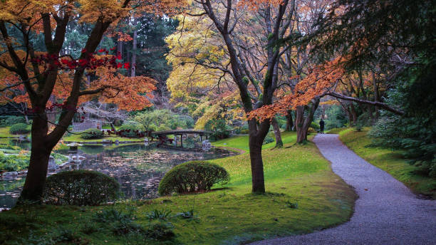 istock Nitobe Memorial Garden, Vancouver 1335201396