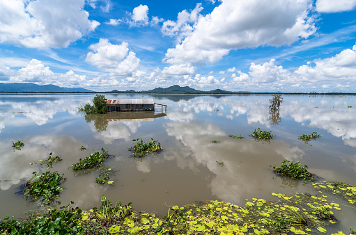 The flooding season in the Mekong Delta is seen as a gift from heaven that brings tons of fish into the paddy fields along with alluvial deposits to fertilize the next crop. It usually lasts from July until the end of November.