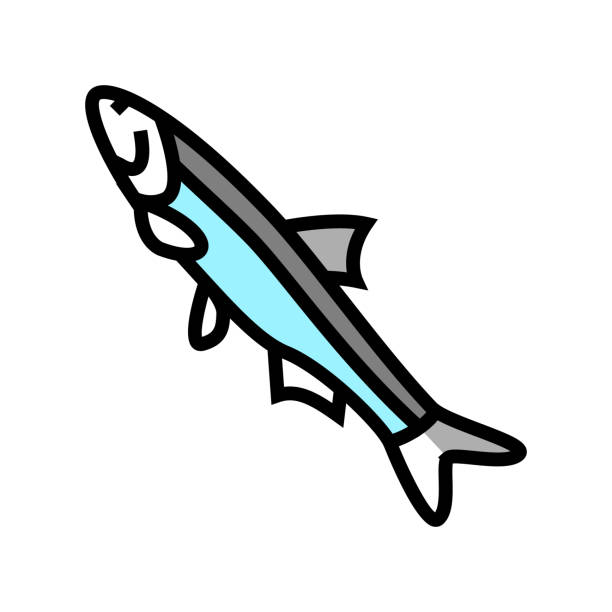 peruvian anchoveta color icon vector illustration peruvian anchoveta color icon vector. peruvian anchoveta sign. isolated symbol illustration nile tilapia stock illustrations