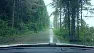 istock Driver view forest road in the rain 1335207011