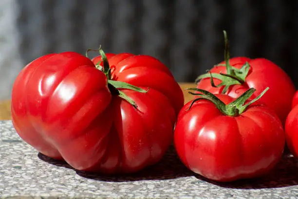 Ripe pink tasty monterosa tomatoes from Spain close up