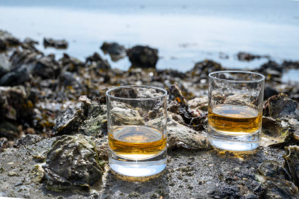 verkostung von single malt oder blended scotch whisky und meeresboden bei ebbe mit algen, steinen und austern im hintergrund, private whisky-touren in schottland, großbritannien - ebb tide stock-fotos und bilder