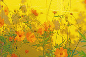blumen-orange-mit-gelbem-hintergrund-howard-county-indiana.jpg?b=1&s=170x170&k=20&c=Qb3rbpHTUDPJfAJK5DC96ULeCAb2hnZA0AkUD5yZ0ms=