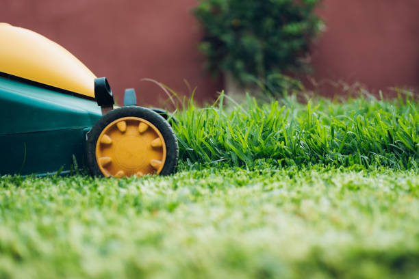 istock green lawn mower cutting grass 1335217120