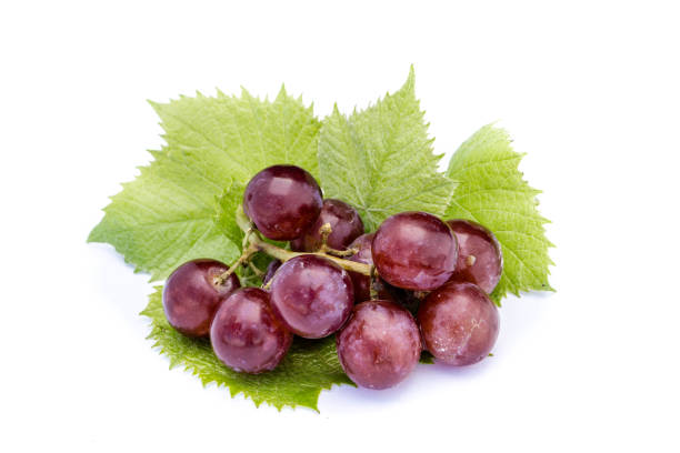 istock Bunches of grapes on white background 1335220620