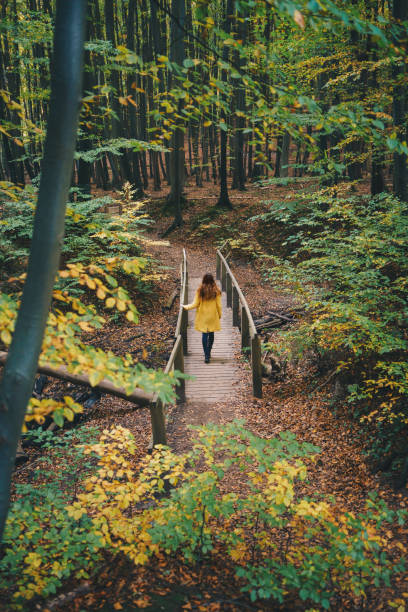 istock Woman walking through the autumn forest 1335220675